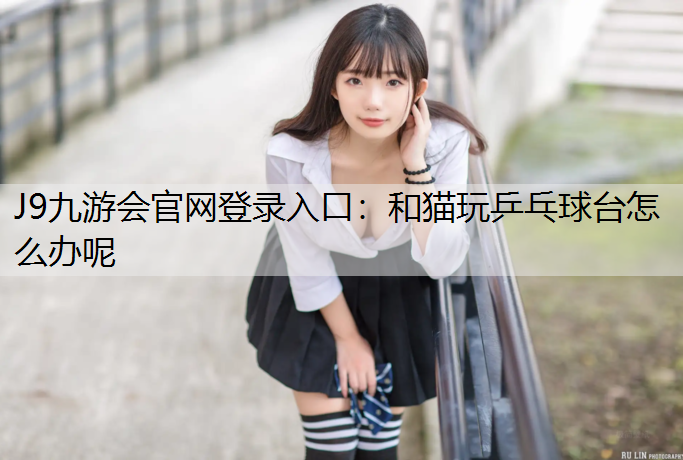 J9九游会官网登录入口：和猫玩乒乓球台怎么办呢