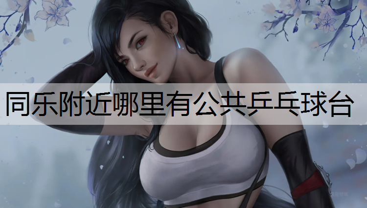 同乐附近哪里有公共乒乓球台