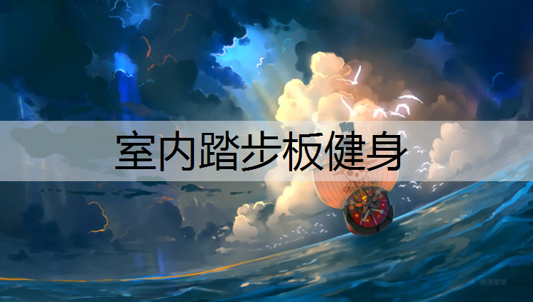 室内踏步板健身